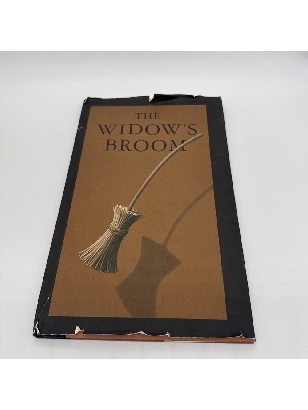 The Widow's Broom-Chris Van Allsburg 1992 Hardcover Dust Jacket 1st / 1st